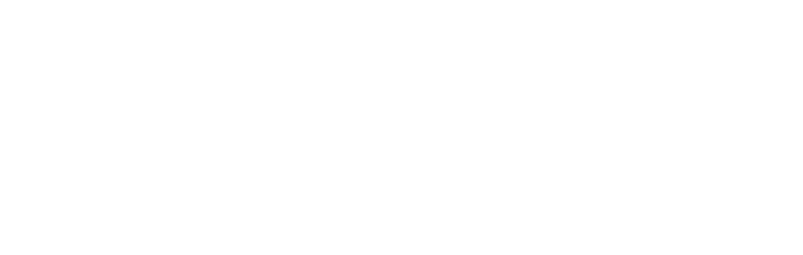 Alvarez & Marsal · Infrastructure & Capital Projects